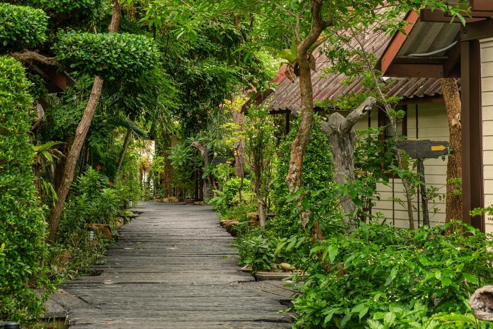 Alee prin vegetație tropicală lângă construcții tradiționale