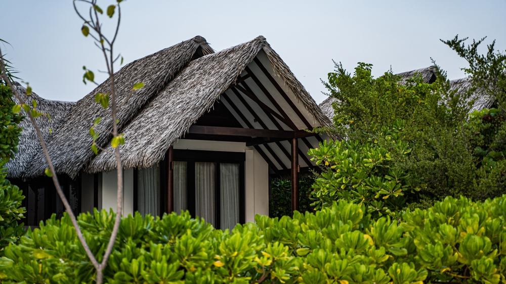 Cabană cu acoperiș înclinat, înconjurată de vegetație tropicală