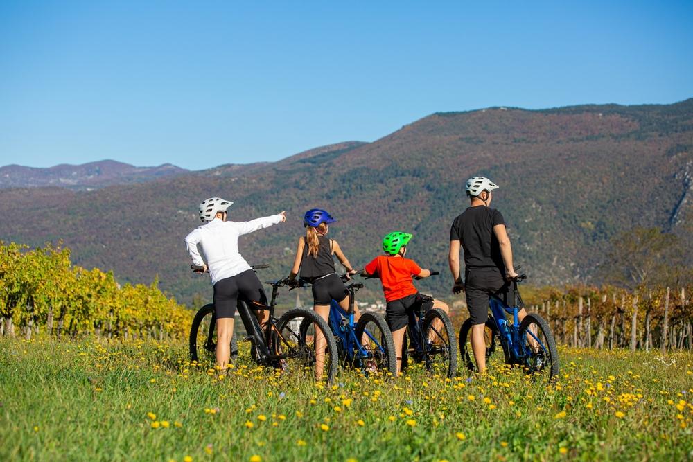 Grup de bicicliști privind spre munți și pajiști