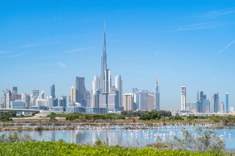 Panorama Dubaiului, dincolo de apa unei zone umede