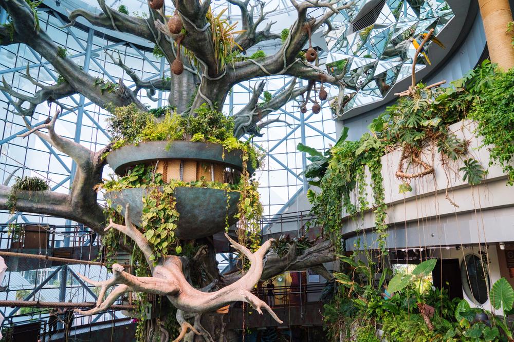 Arbore central și pasarele în interiorul Green Planet