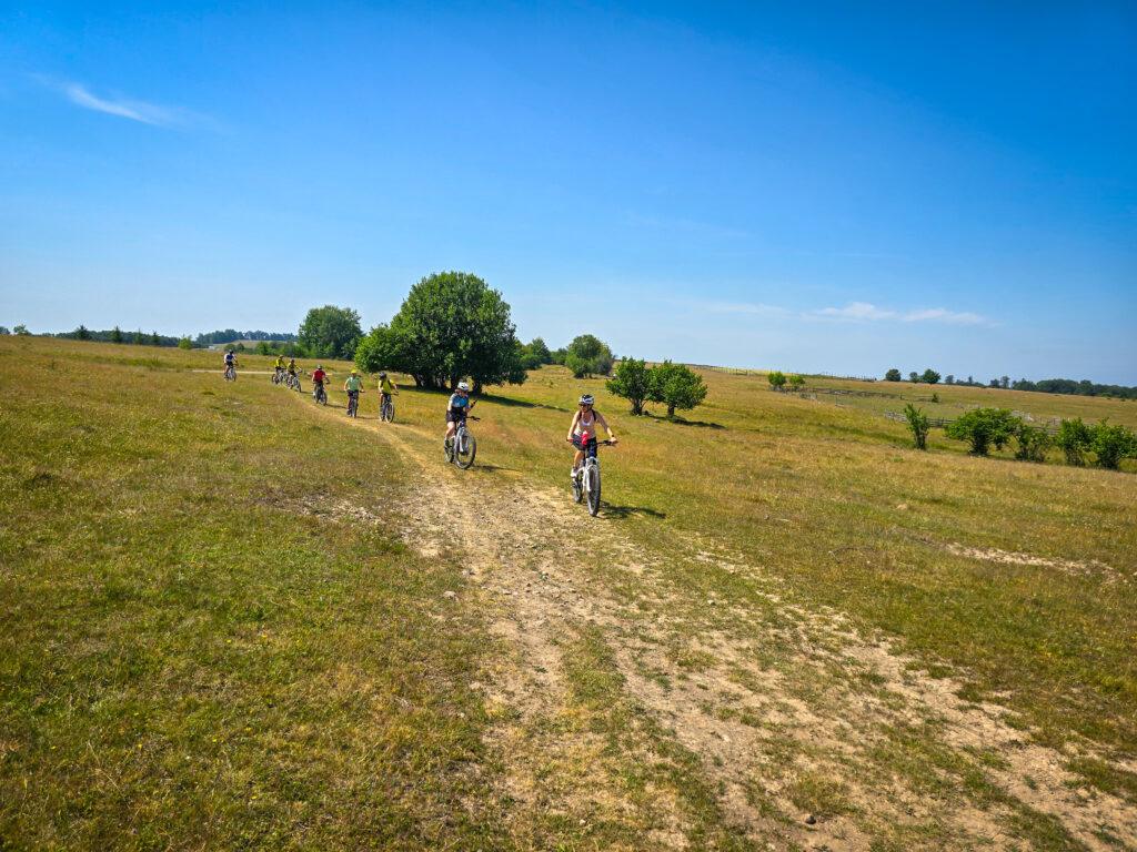 Cicliști traversând o pajiște, sub cer albastru