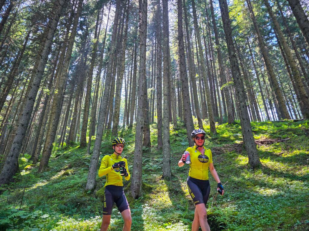 Grup de cicliști pe o alee în pădure