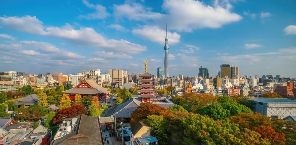 Turn și panorama Tokyo, cu copaci în prim-plan